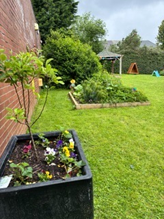 Our garden